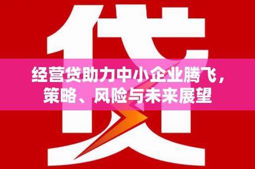 保税区经营贷助力中小企业腾飞，策略、风险与未来展望