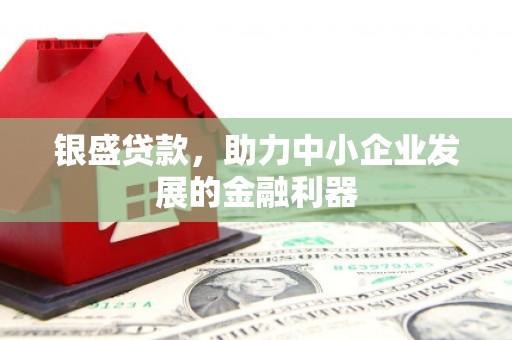 保税区银盛贷款，助力中小企业发展的金融利器