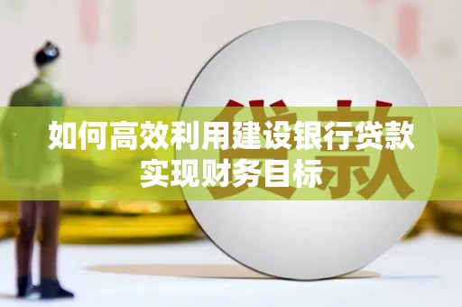 保税区如何高效利用建设银行贷款实现财务目标