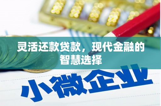保税区灵活还款贷款，现代金融的智慧选择