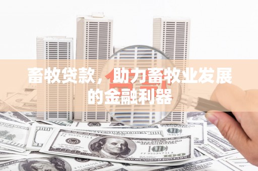 保税区畜牧贷款，助力畜牧业发展的金融利器
