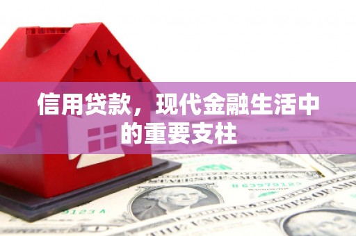 保税区信用贷款，现代金融生活中的重要支柱