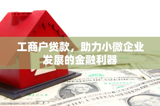 保税区工商户贷款，助力小微企业发展的金融利器