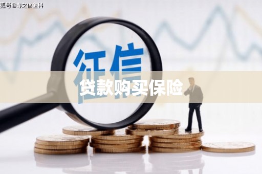 保税区贷款购买保险