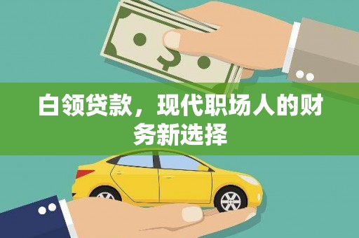 保税区白领贷款，现代职场人的财务新选择