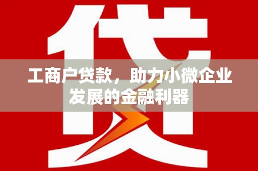 保税区工商户贷款，助力小微企业发展的金融利器
