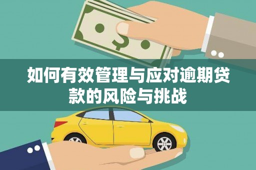 保税区如何有效管理与应对逾期贷款的风险与挑战