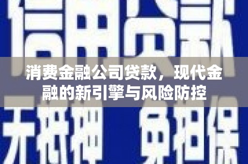 保税区消费金融公司贷款，现代金融的新引擎与风险防控