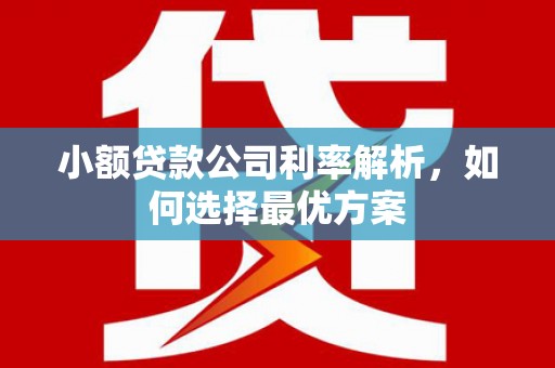 保税区小额贷款公司利率解析，如何选择最优方案