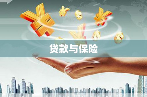 保税区贷款与保险