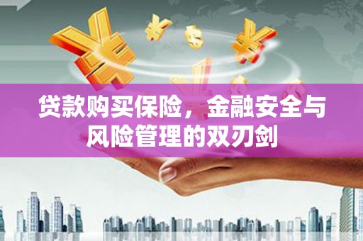 保税区贷款购买保险，金融安全与风险管理的双刃剑