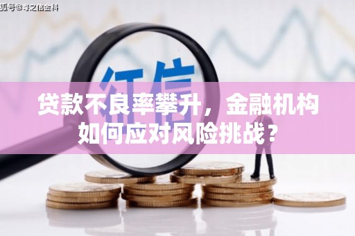 保税区贷款不良率攀升，金融机构如何应对风险挑战？