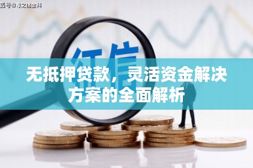 保税区无抵押贷款，灵活资金解决方案的全面解析