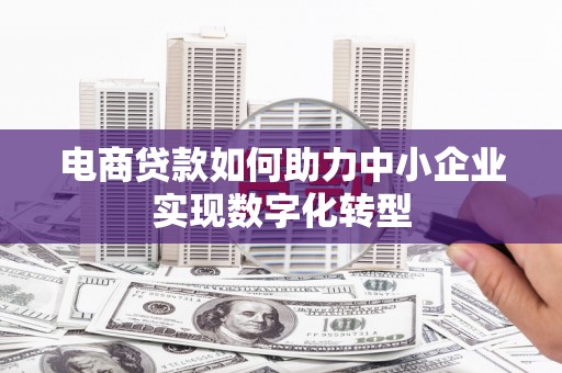 保税区电商贷款如何助力中小企业实现数字化转型