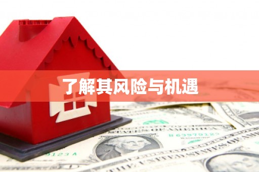 保税区了解其风险与机遇