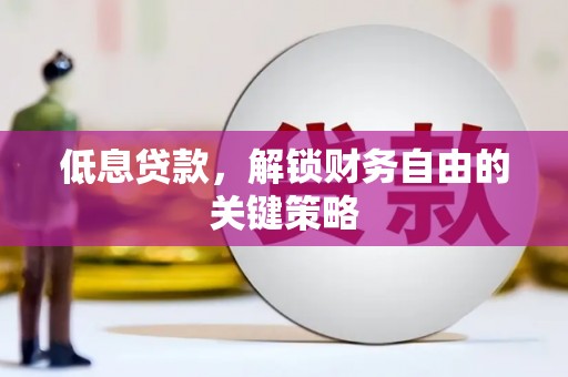 保税区低息贷款，解锁财务自由的关键策略