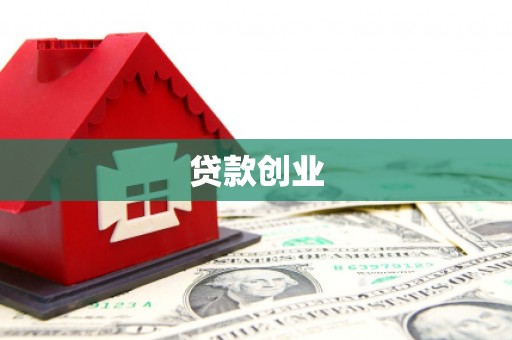 保税区贷款创业