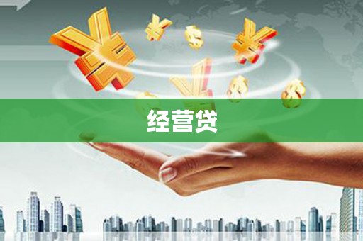 保税区经营贷