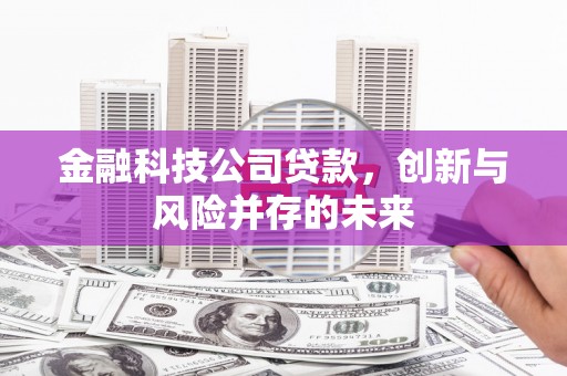 保税区金融科技公司贷款，创新与风险并存的未来