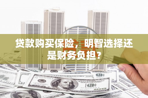 保税区贷款购买保险，明智选择还是财务负担？