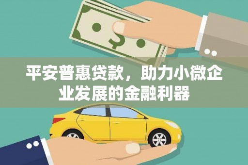 保税区平安普惠贷款，助力小微企业发展的金融利器