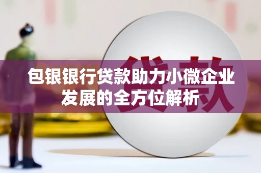 保税区包银银行贷款助力小微企业发展的全方位解析