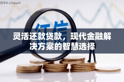 保税区灵活还款贷款，现代金融解决方案的智慧选择