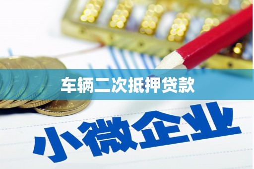 保税区车辆二次抵押贷款