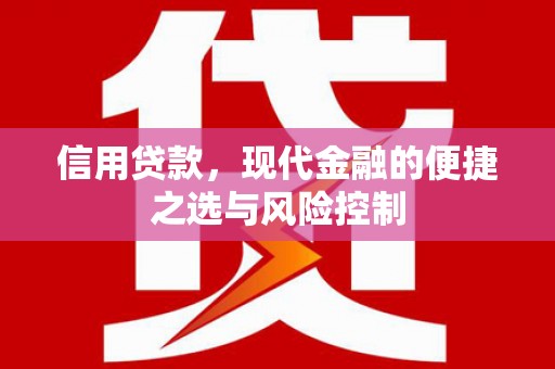 保税区信用贷款，现代金融的便捷之选与风险控制