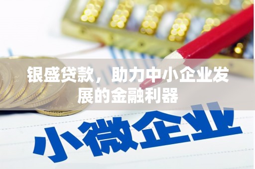 保税区银盛贷款，助力中小企业发展的金融利器