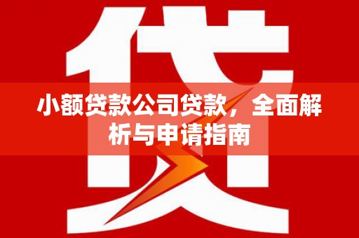 保税区小额贷款公司贷款，全面解析与申请指南