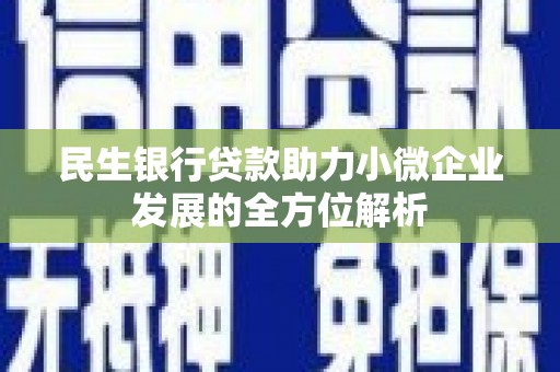 保税区民生银行贷款助力小微企业发展的全方位解析