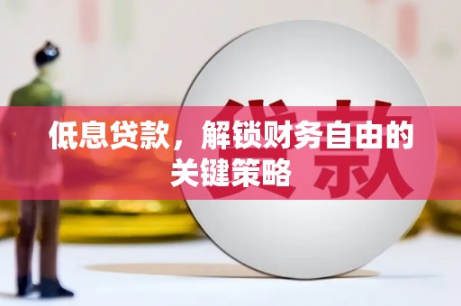 保税区低息贷款，解锁财务自由的关键策略