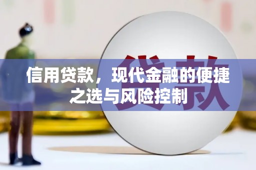 保税区信用贷款，现代金融的便捷之选与风险控制
