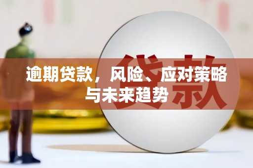保税区逾期贷款，风险、应对策略与未来趋势