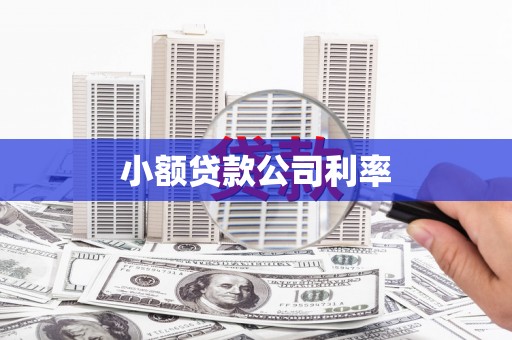 保税区小额贷款公司利率