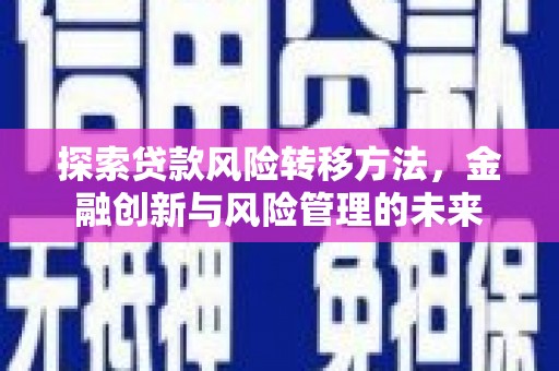 保税区探索贷款风险转移方法，金融创新与风险管理的未来