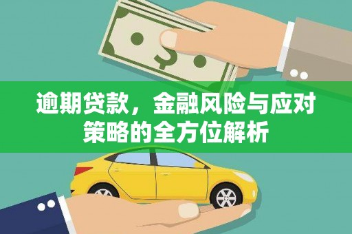 保税区逾期贷款，金融风险与应对策略的全方位解析