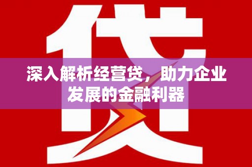 保税区深入解析经营贷，助力企业发展的金融利器