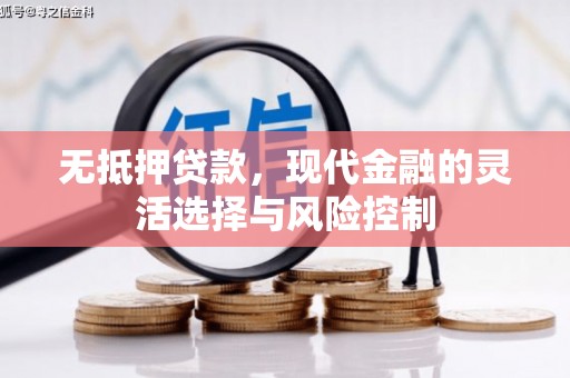 保税区无抵押贷款，现代金融的灵活选择与风险控制