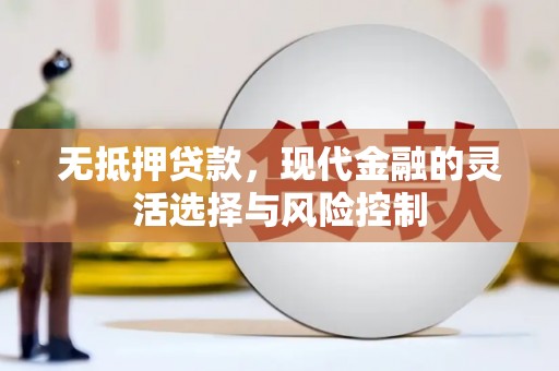 保税区无抵押贷款，现代金融的灵活选择与风险控制