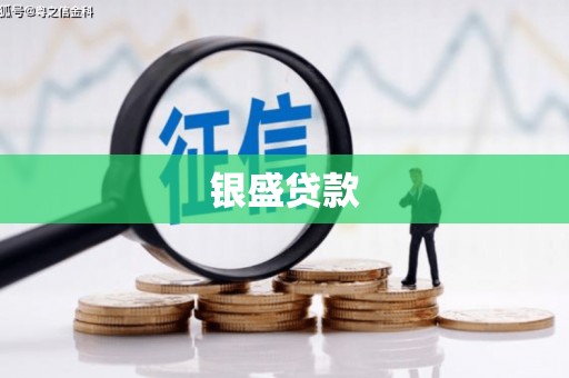 保税区银盛贷款
