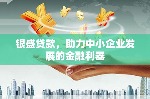 保税区银盛贷款，助力中小企业发展的金融利器