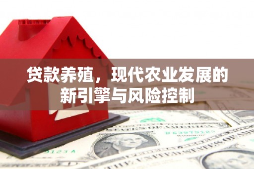 保税区贷款养殖，现代农业发展的新引擎与风险控制