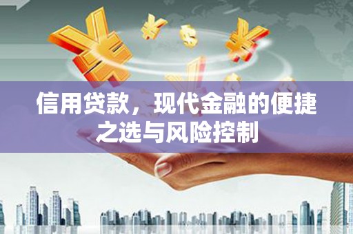 保税区信用贷款，现代金融的便捷之选与风险控制