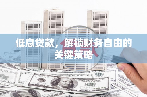 保税区低息贷款，解锁财务自由的关键策略