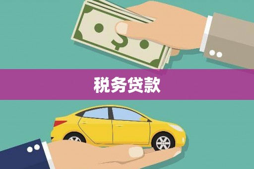 保税区税务贷款