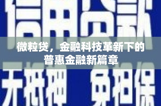 保税区微粒贷，金融科技革新下的普惠金融新篇章