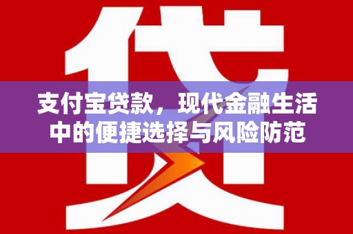 保税区支付宝贷款，现代金融生活中的便捷选择与风险防范