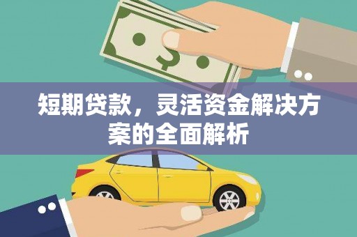 保税区短期贷款，灵活资金解决方案的全面解析